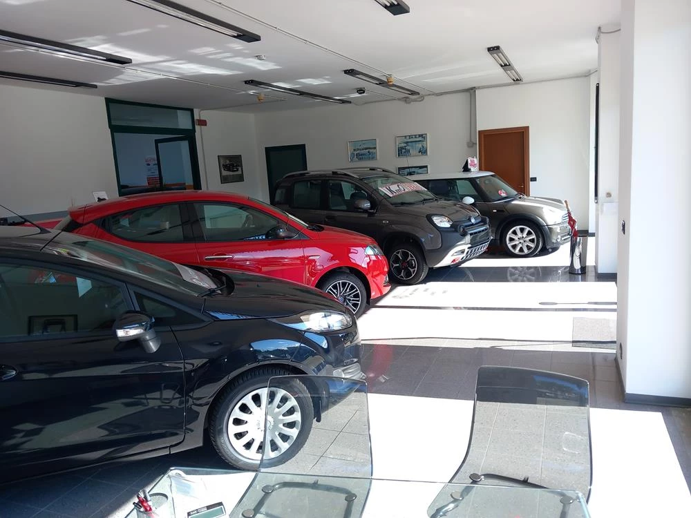 Vendita auto multimarca nuove e usate a Bricherasio